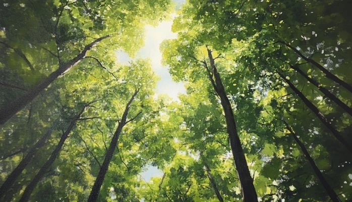La montagne face au changement climatique : quelles voies d'adaptation ?